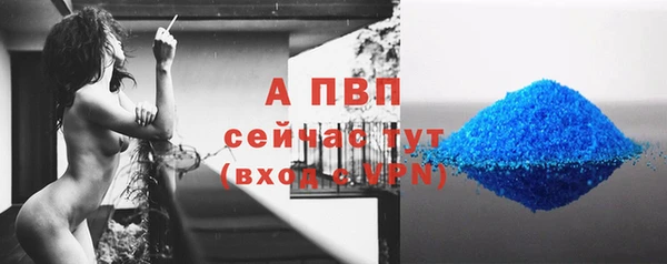 сатива Абаза