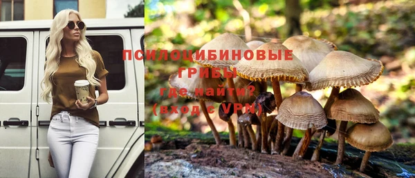 тгк Абинск