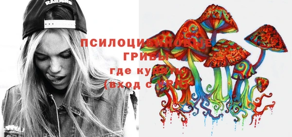 сатива Абаза