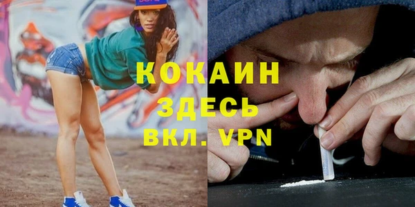 сатива Абаза