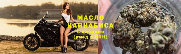 сатива Абаза