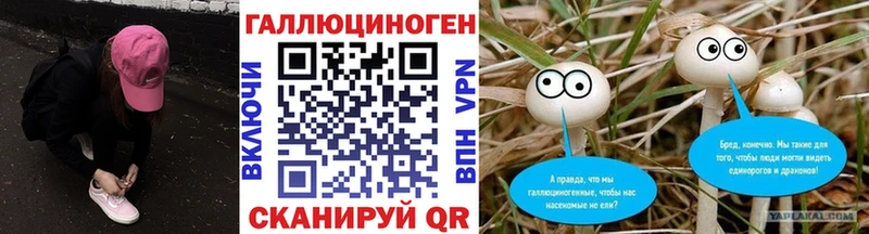 наркошоп  Юхнов  Псилоцибиновые грибы MAGIC MUSHROOMS 
